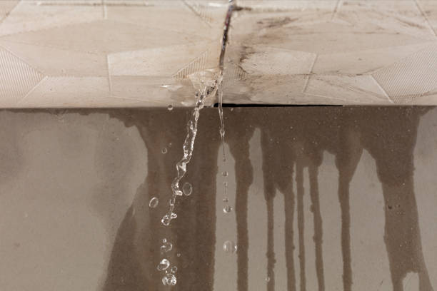 Professional Sewage Cleanup technician working in Trenton, OH